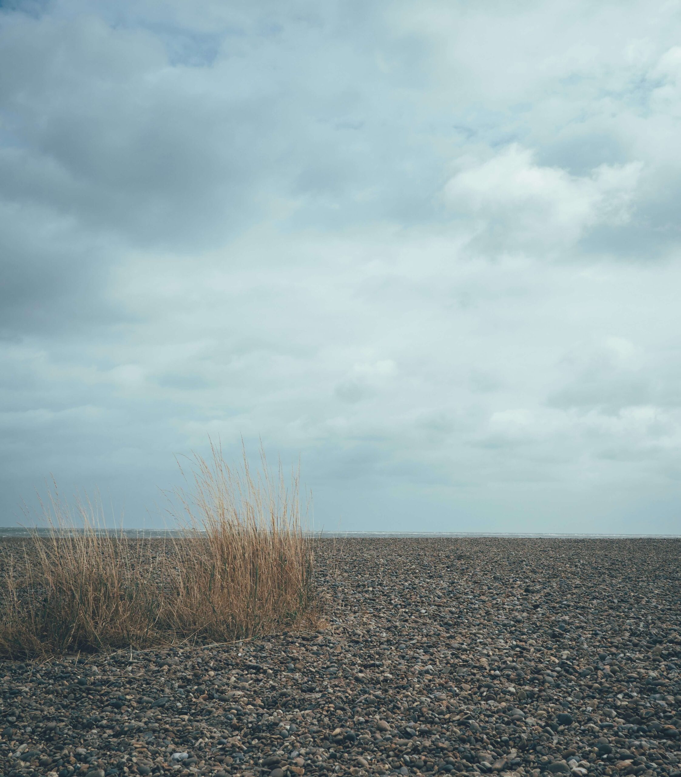 How Busy Does Walberswick Beach Get in Summer?