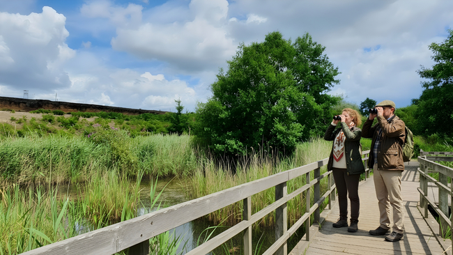 Dunwich Forest & Marshes