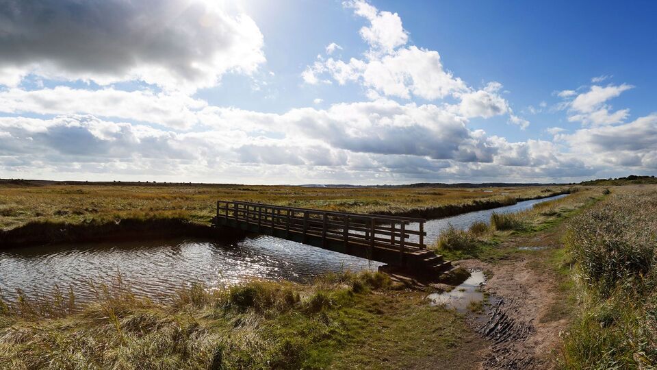 Walberswick River